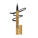 Colors Queen High-Tech Liquid Pen Eyeliner Black- 1.2 g 